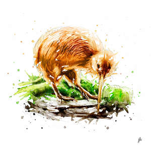 Kiwi Canvas Print