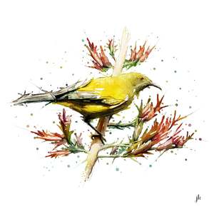 Bellbird Canvas Print