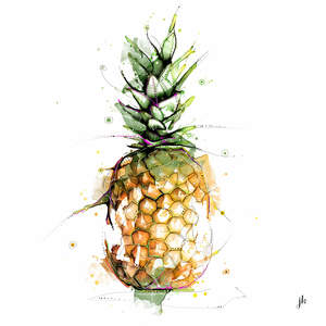 Pineapple Canvas Print
