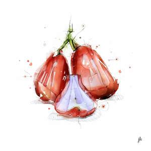 Jambu Canvas Print