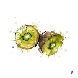 All: Kiwifruit Canvas Print