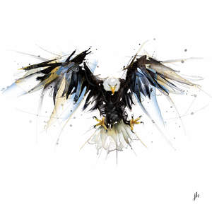 Bald Eagle Canvas Print