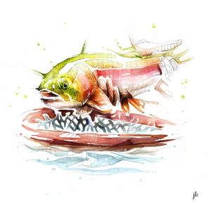 Fish Art Nz: Rainbow Trout Canvas Print