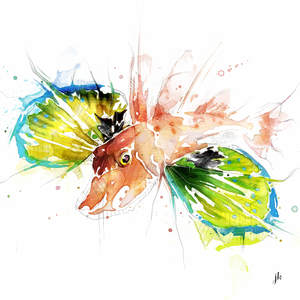 Fish Art Nz: Gurnard Canvas Print