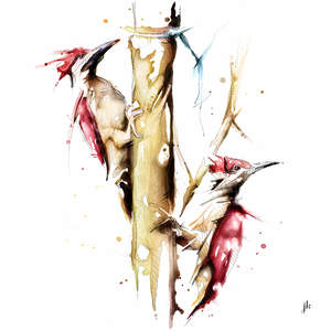 Woodpeckers Canvas Print