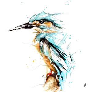 Bird Wall Art Prints: River Kingfisher Canvas Print
