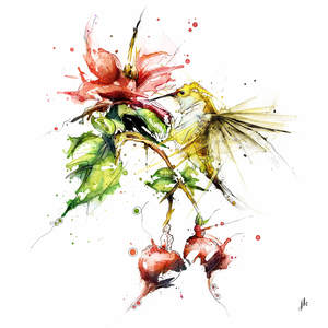 Hummingbird Canvas Print