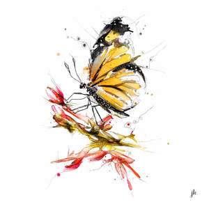 Art For Women: Monarch Butterfly Canvas Print