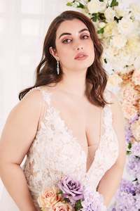 Curve Collection: Tali