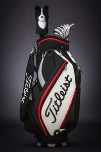 Furry Fairway Friend: Border Collie Dog Golf Driver Head Cover – Stylish Accessory for Dog Lovers