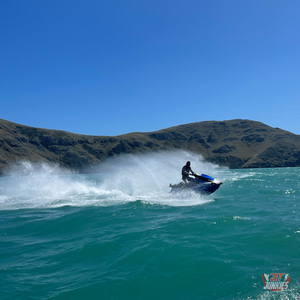 Cruise Ship Excursions