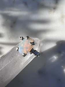 They Are From Venus: Large Opal Silver