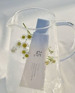 New Arrivals: Beauty of Joseon Relief Sun Aqua-Fresh : Rice + B5 SPF50+ PA++++