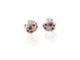 Ladybird Stud Earrings
