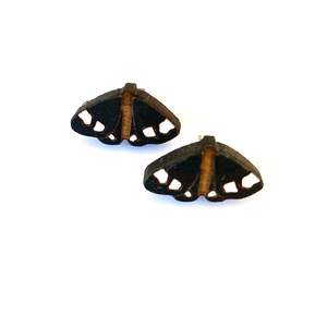 Magpie Moth Totara Earrings - studs