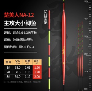 楚美人纳米漂38.5cm 1.16g 吃铅1.7g配送漂管 - JIGGLE LURE FISHING TACKLE WHOLESALE