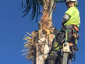 Products: North Shore Arborists