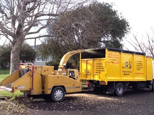 Products: Gisborne Arborist