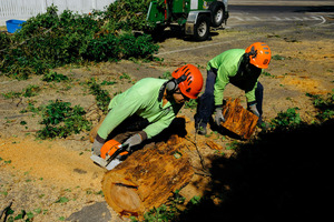 Products: Hamilton Arborists