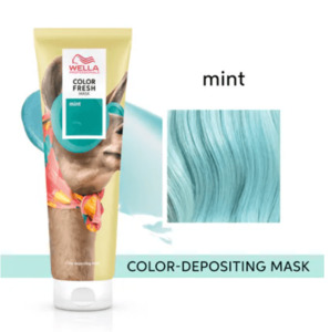 Colour Fresh Mask Mint Jingles Hair Design