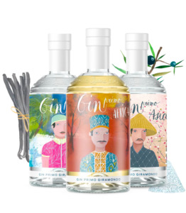 GIN PARTY PACK