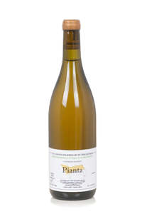 Sicily: PIANTA ETNA BIANCO DOC