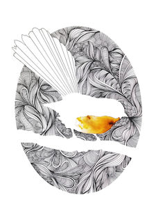 Products: Fantail Print