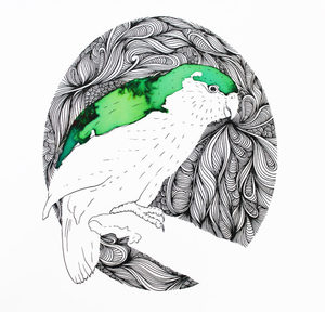 Products: Kakapo Print