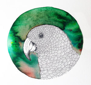 Products: A4 Kaka Print