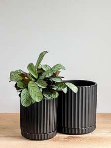 Pots: Athens Planter - Black