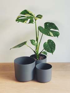 Elho Anthracite Round Pot