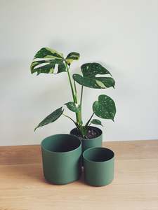 Pots: Elho Leaf Green Round Pot