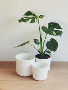 Pots: Elho White Round Pot