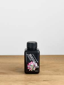 Extras: Succulent Focus GT