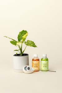 Plant Care: Green Thumb Kit