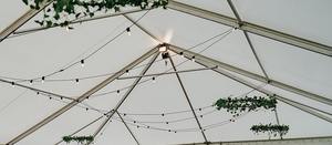 Halogen Indoor Lights - Johnson & Couzins Hire