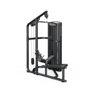 Matrix Versa Lat Pulldown / Seated Row