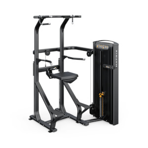 Matrix Versa: Matrix Versa Chin / Dip Assist