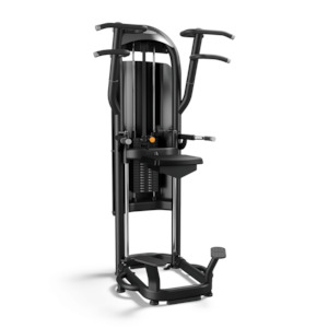 Matrix Aura: Matrix Aura Dip / Chin Assist