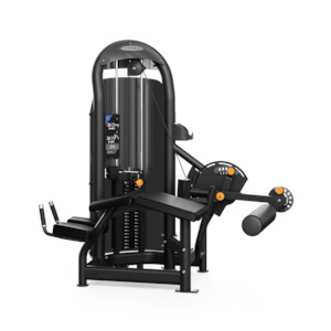 Matrix Aura: Matrix Aura Prone Leg Curl