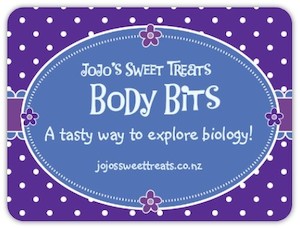 Gift Boxes: Body Bits Box