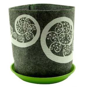 white fern frond on mid grey nzjlfb02