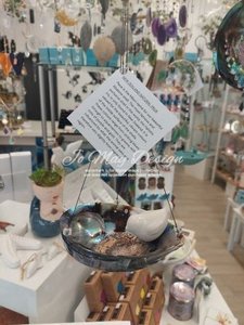 Products: Paua Bird Feeder or trinket holder – hanging