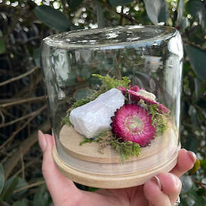 Dried Florals: Dome - Medium #6