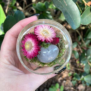 Dried Florals: Dome - Small #57