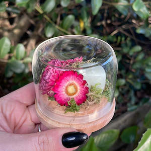 Dried Florals: Dome - Small #42