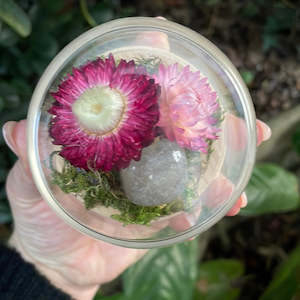 Dried Florals: Dome - Small #9