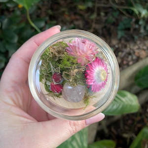 Dried Florals: Dome - Small #16