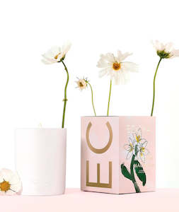 Candle - Citrus Blossom & Magnolia - Ecoya