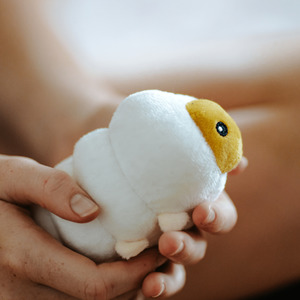 Baby: Mystery Egg - Moana Road